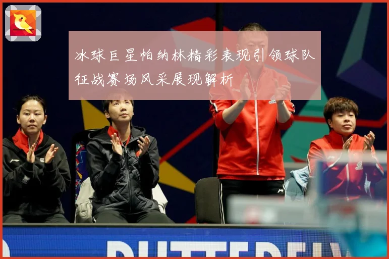 冰球巨星帕纳林精彩表现引领球队征战赛场风采展现解析